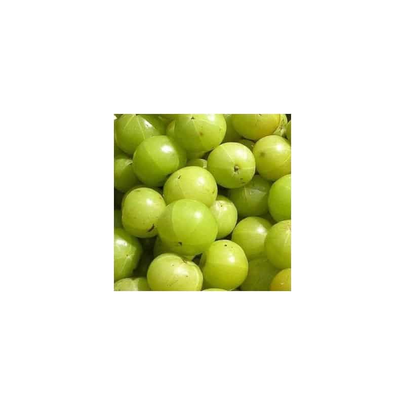 Amla Fresh 500g Amla Fresh 500g