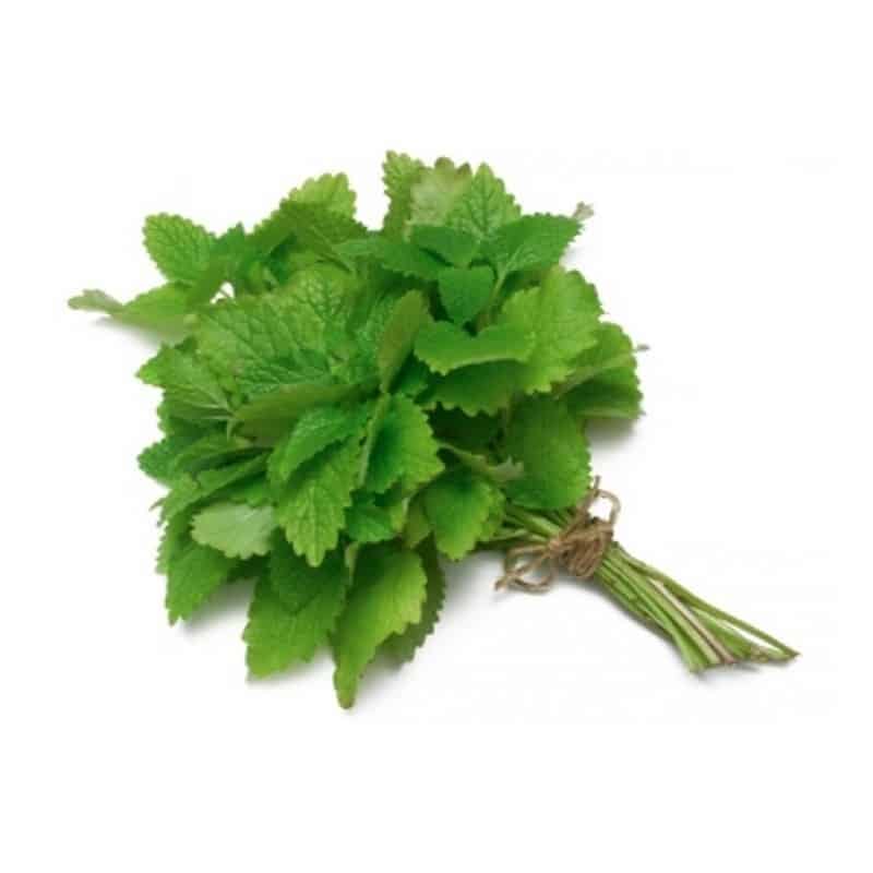 Mint leaves 70g+ Mint leaves 70g+