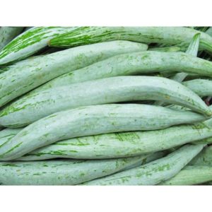 Padwal long 500g