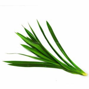 Pandan leaves 100g